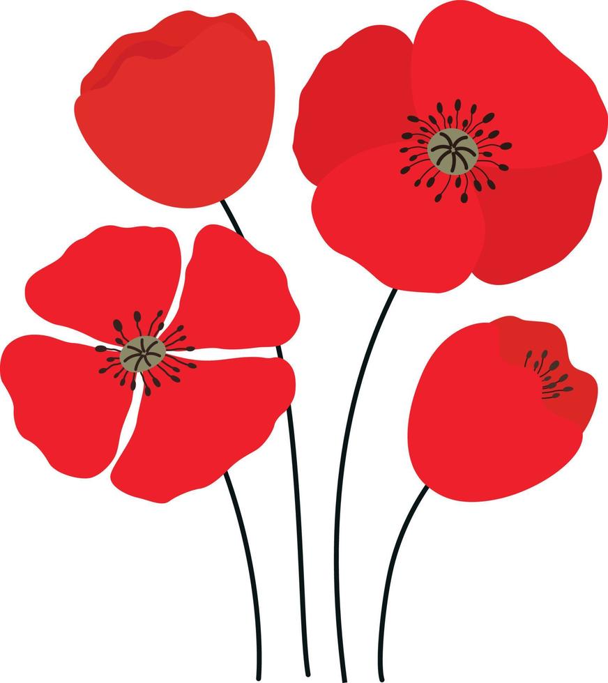 papaver bloemen illustratie vector