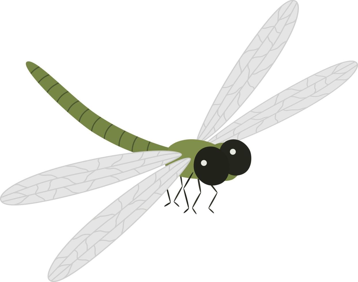 libel illustratie insect vector