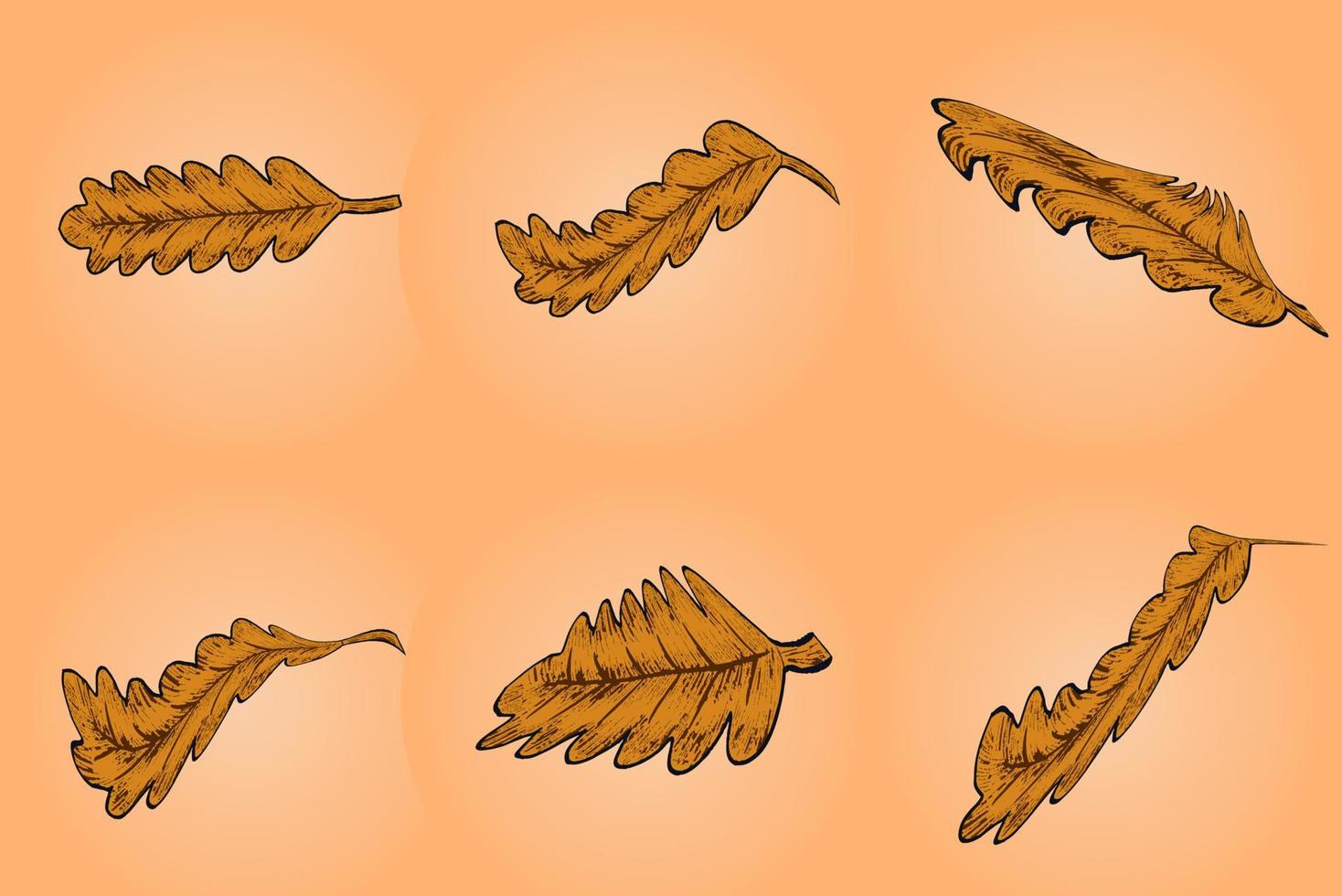 reeks van herfst bruin bladeren - gedaald blad vector