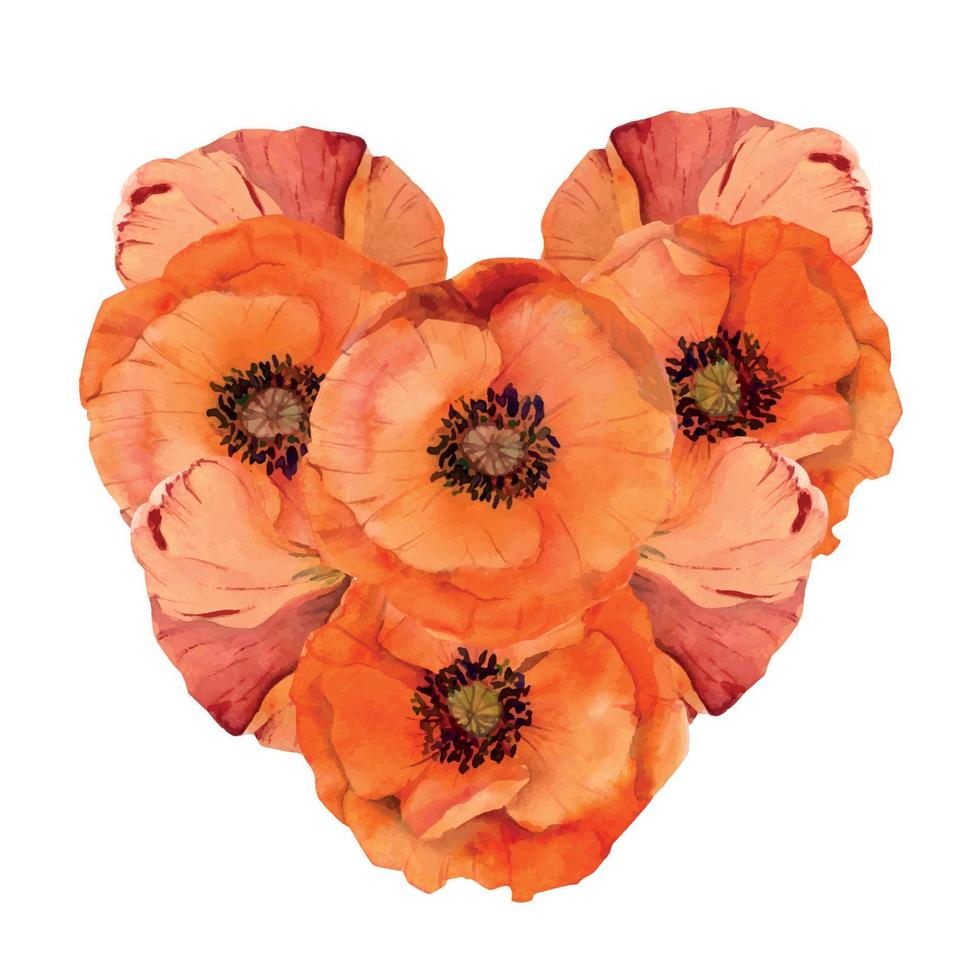 waterverf hart vorm arrangement met hand- getrokken zomer helder rood papaver bloemen. geïsoleerd Aan wit achtergrond. ontwerp voor uitnodigingen, bruiloft, liefde of groet kaarten, papier, afdrukken, textiel vector