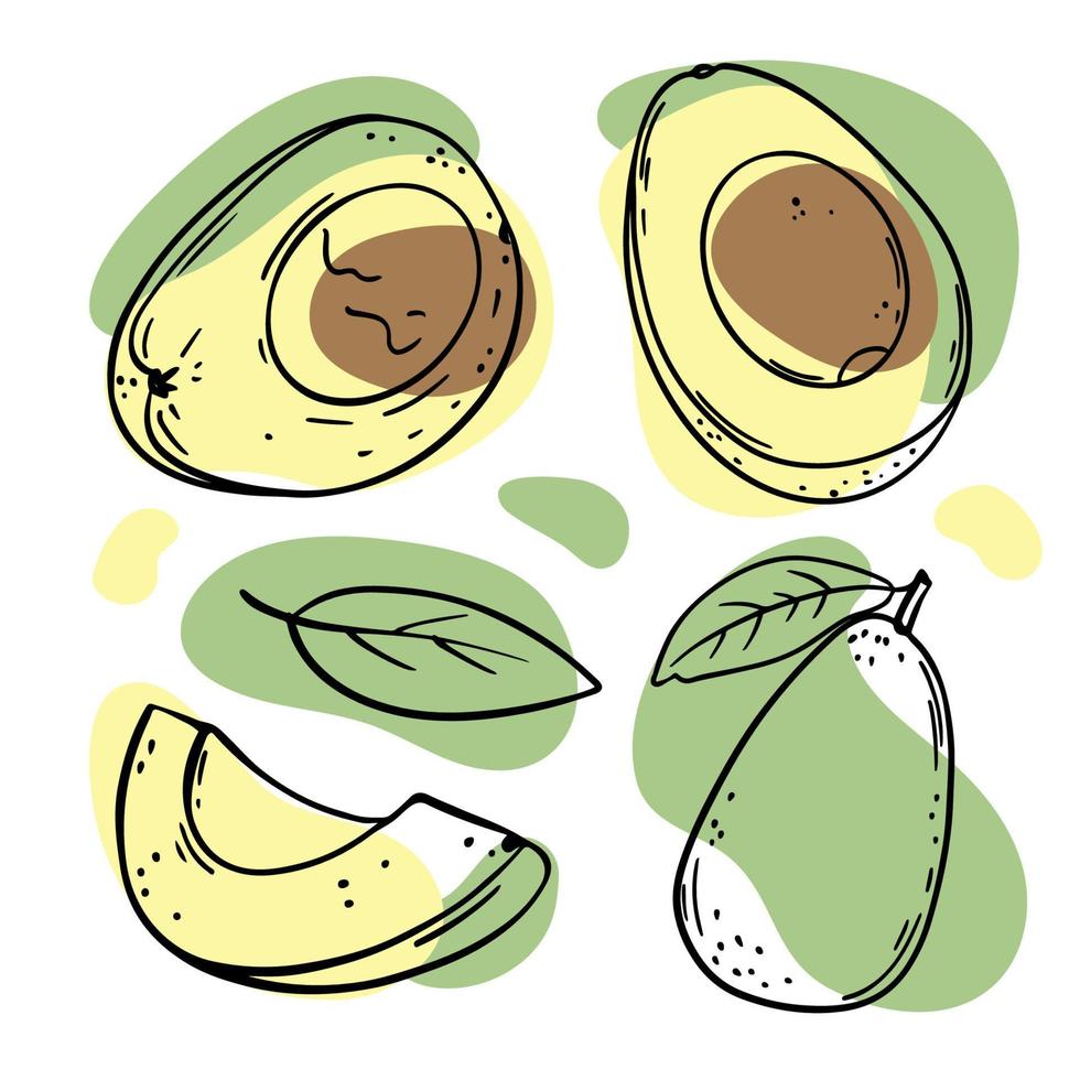 avocado fruit heerlijk fruit schetsen vector illustratie reeks