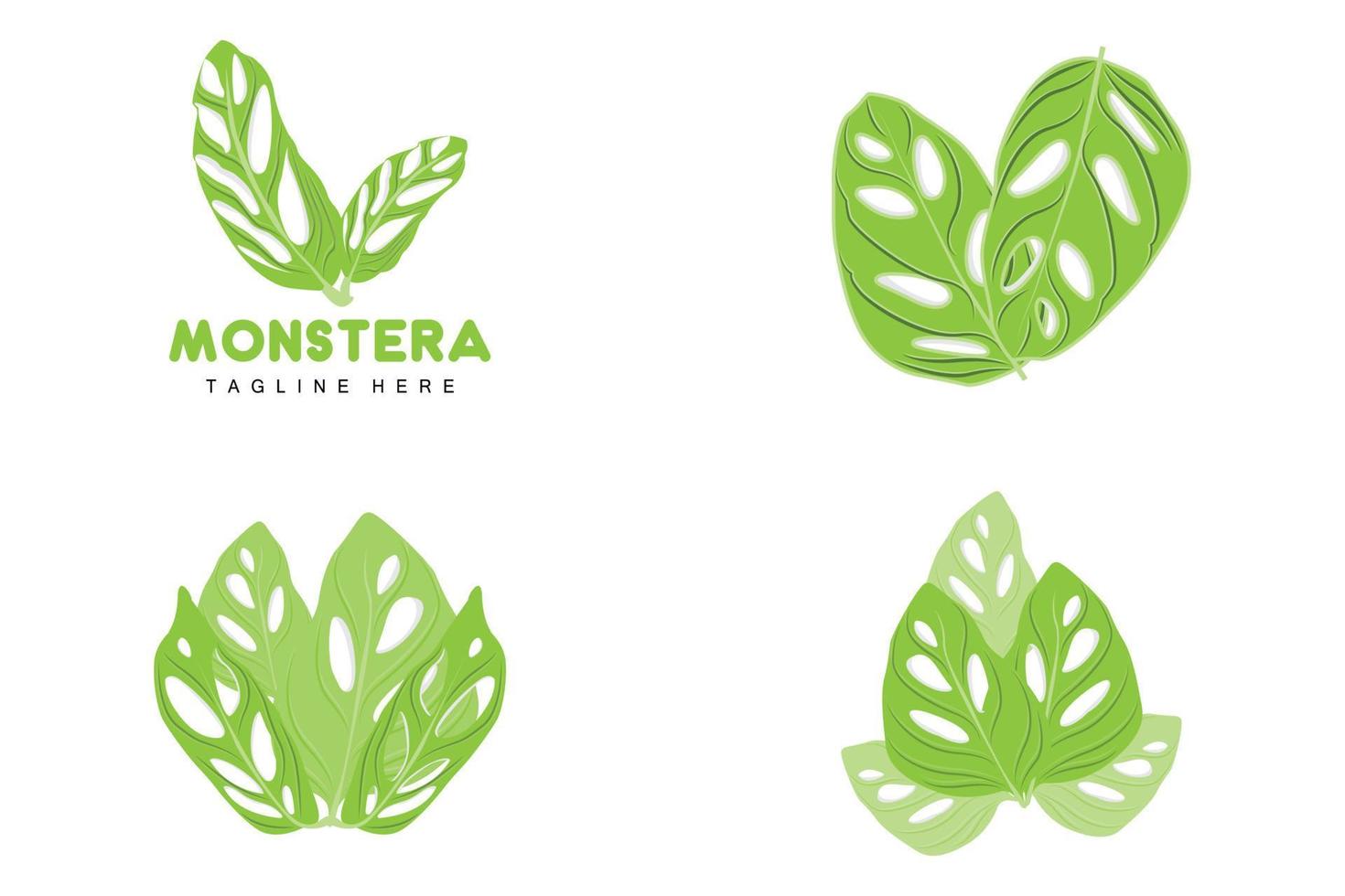 monstera adansonii blad logo, groen fabriek vector, boom vector, bijzonder blad illustratie vector