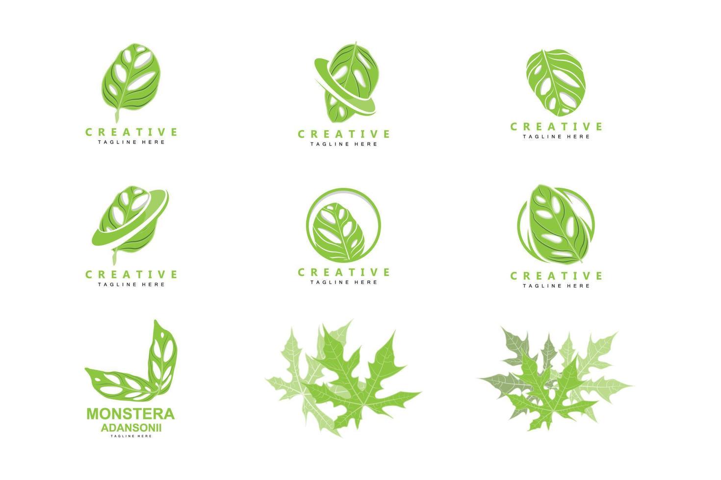 monstera adansonii blad logo, groen fabriek vector, boom vector, bijzonder blad illustratie vector