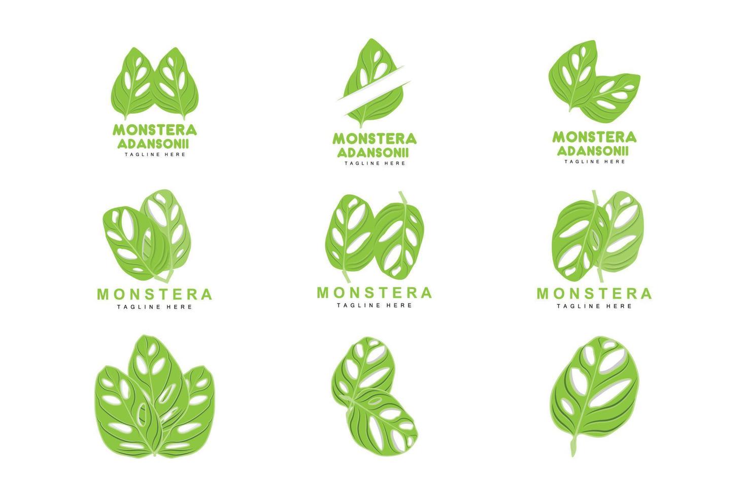 monstera adansonii blad logo, groen fabriek vector, boom vector, bijzonder blad illustratie vector