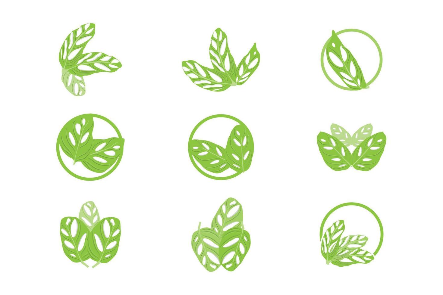 monstera adansonii blad logo, groen fabriek vector, boom vector, bijzonder blad illustratie vector
