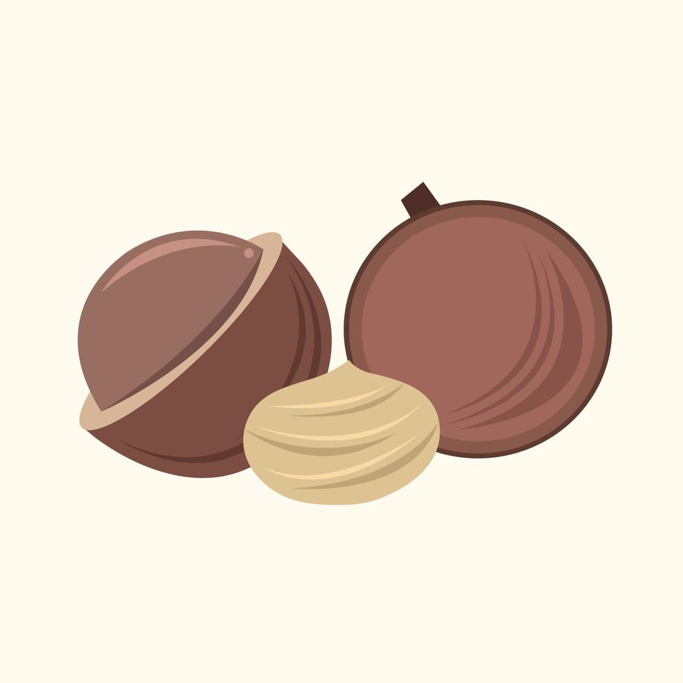 macadamia vector illustratie voor grafisch ontwerp en decoratief element