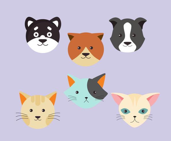 pups en kittens hoofd vector