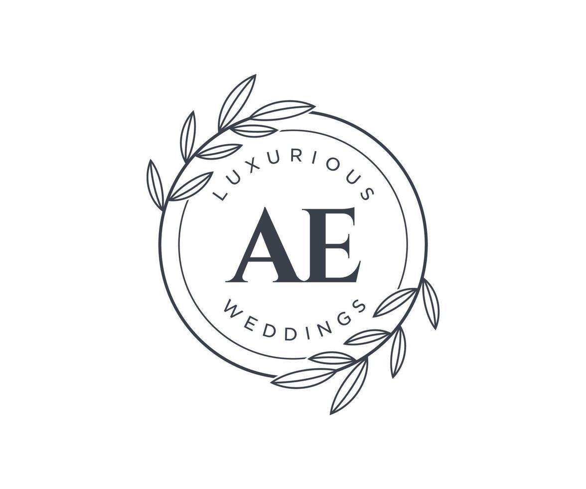 ae initialen brief bruiloft monogram logos sjabloon, hand- getrokken modern minimalistisch en bloemen Sjablonen voor uitnodiging kaarten, opslaan de datum, elegant identiteit. vector