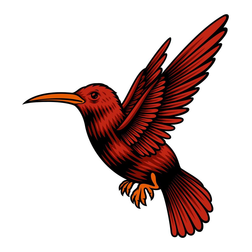 een vectorillustratie van een kolibrie vector