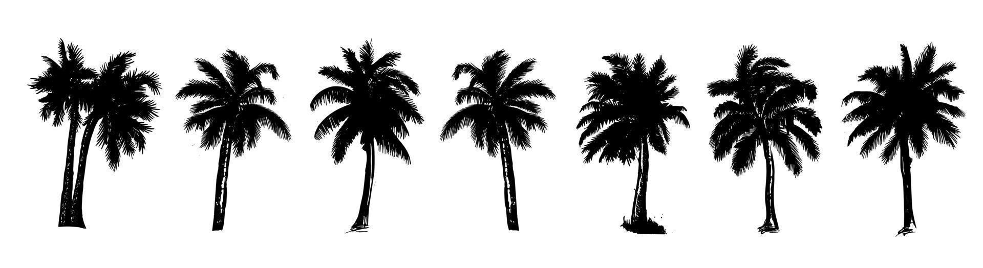 palm, Hallo zomer, hand- getrokken illustraties, vector. vector