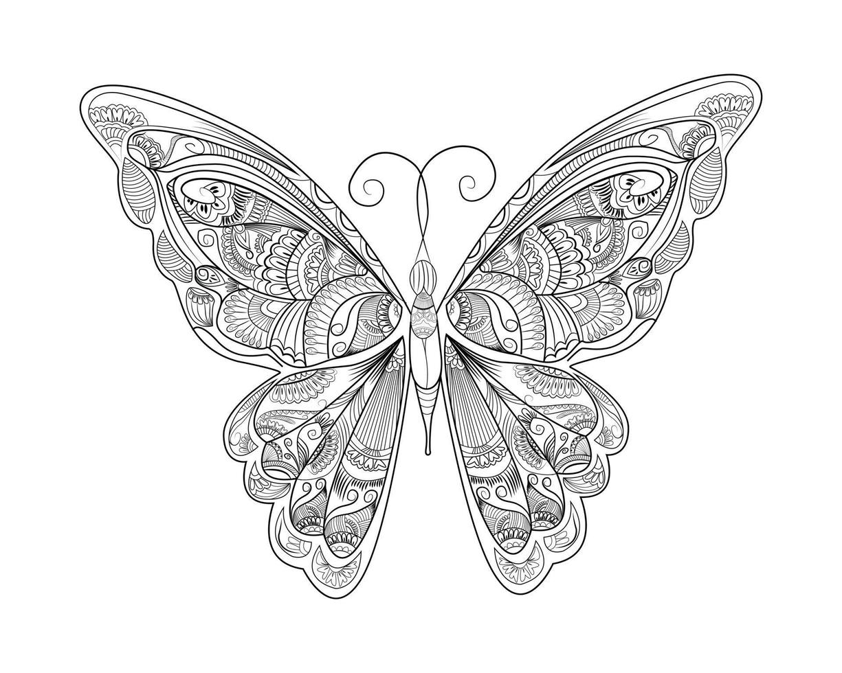 mooi vlinder lijn kunst voor volwassen kleur bladzijde vector