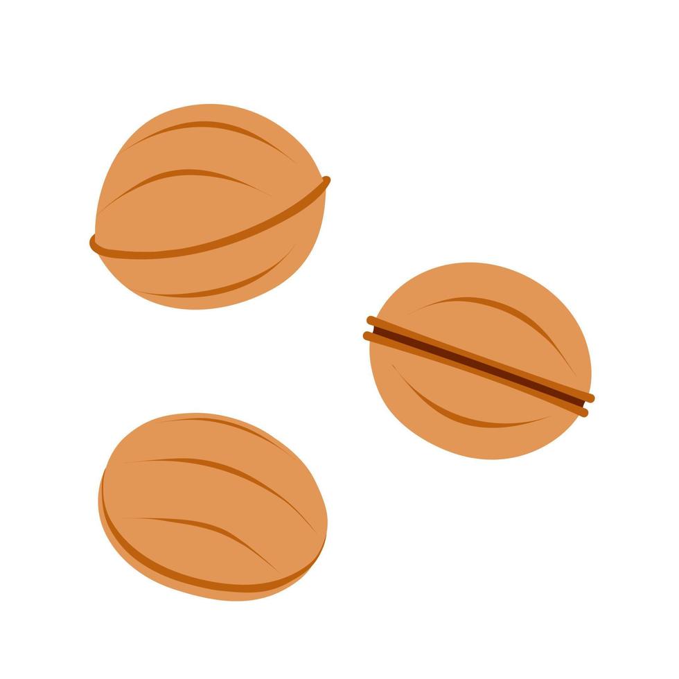 okkernoot vormig koekjes met gekookt gecondenseerd melk. eigengemaakt smakelijk nagerecht. hand getekend gekleurde vlak vector illustratie geïsoleerd Aan wit achtergrond.