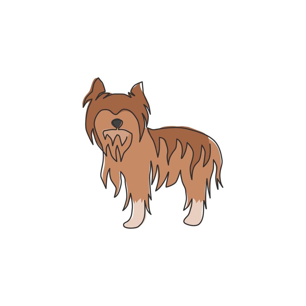 enkele doorlopende lijntekening van schattige yorkshire terrier hond voor de identiteit van het bedrijfslogo. rasechte hond mascotte concept voor stamboom vriendelijk huisdier icoon. moderne één lijn tekenen ontwerp vectorillustratie vector