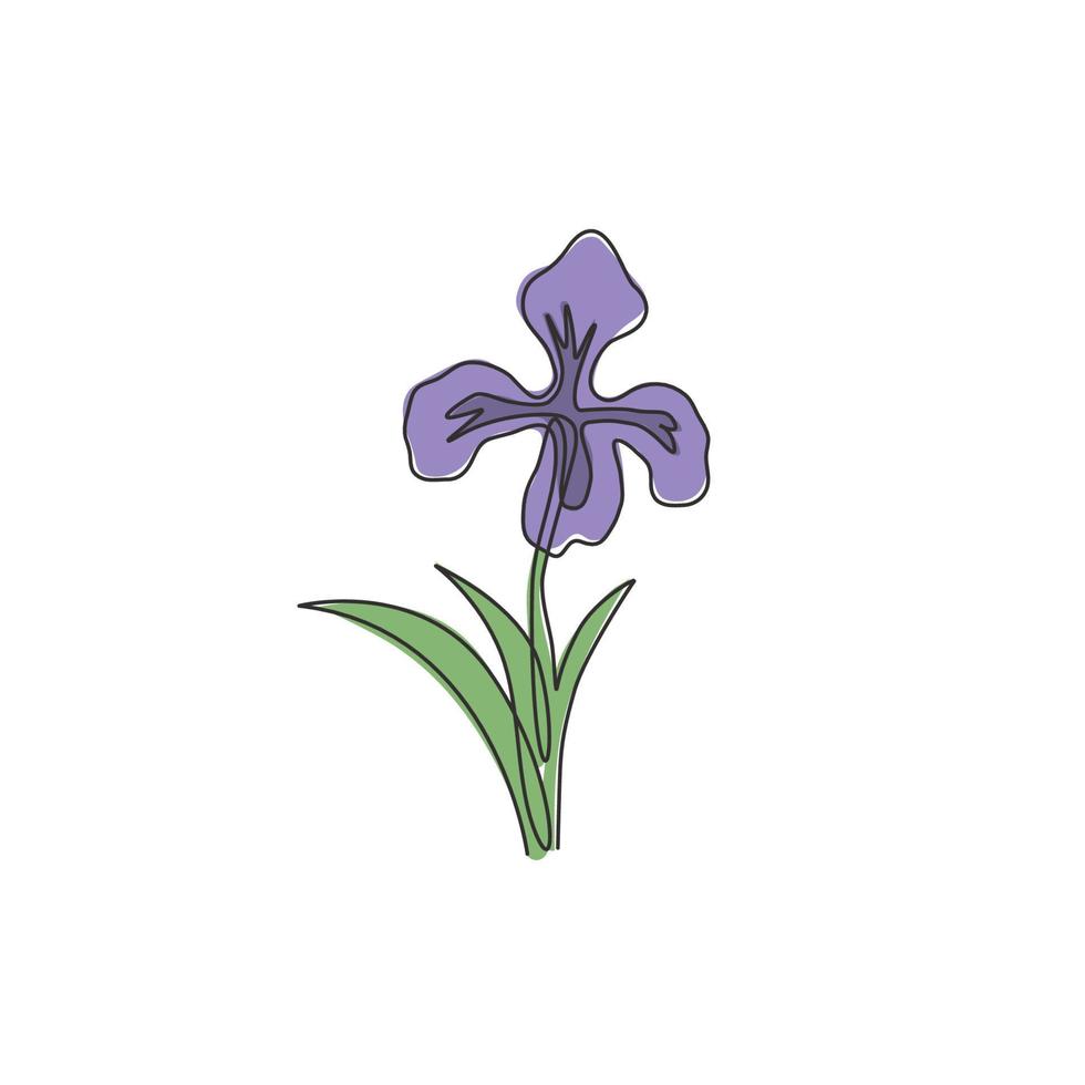 één enkele lijntekening van schoonheidsverse vaste planten voor tuinlogo. afdrukbare decoratieve iris bloem concept voor home decor wall art poster print. doorlopende lijn tekenen ontwerp vectorillustratie vector