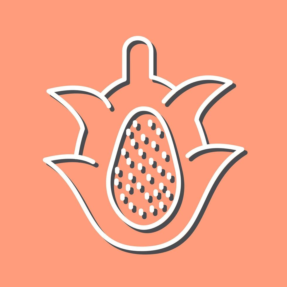 draak fruit vector icoon