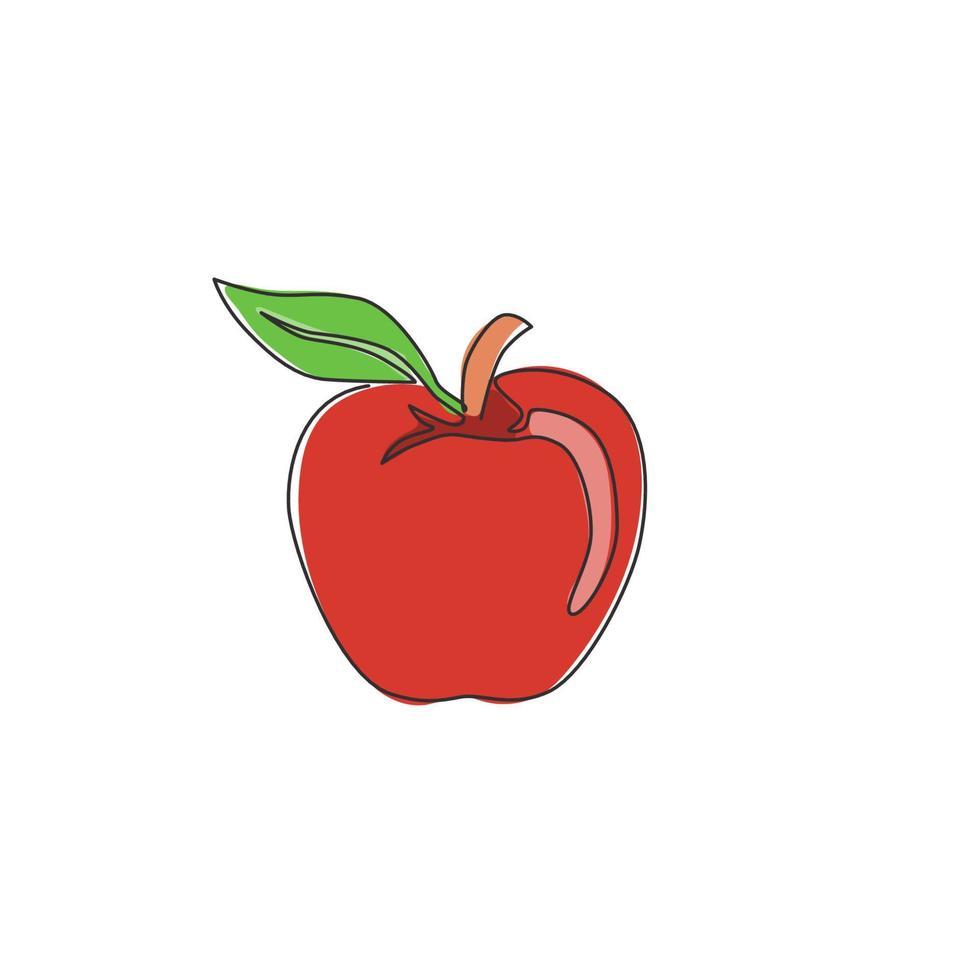 enkele doorlopende lijntekening van hele gezonde biologische appel voor de identiteit van het boomgaardlogo. vers zomerfruitconcept voor fruittuinpictogram. moderne één regel grafisch ontwerp vectorillustratie vector