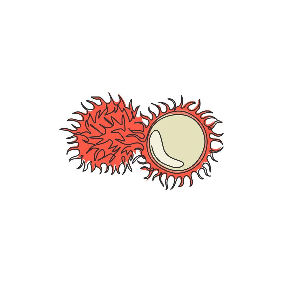 enkele doorlopende lijntekening hele en gesneden gezonde biologische rambutans voor de identiteit van het boomgaardlogo. vers harig fruitconcept voor tuinpictogram. moderne één lijn tekenen ontwerp vector grafische afbeelding