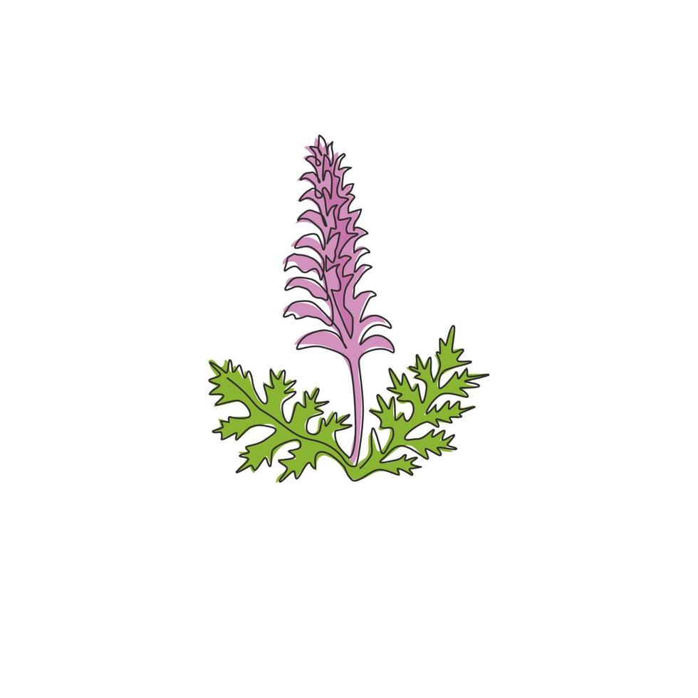 enkele doorlopende lijntekening van schoonheidsverse berenrijbroek voor tuinlogo. decoratief acanthusbloemconcept voor bloemenuitnodigingskaartframe. moderne één lijn tekenen ontwerp vectorillustratie vector