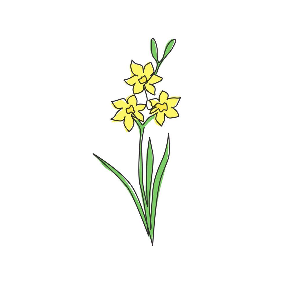 enkele doorlopende lijntekening van schoonheid verse narcissen voor thuis muur decor art poster print. afdrukbare decoratieve narcisbloem voor kaartornament. moderne één lijn tekenen ontwerp vectorillustratie vector