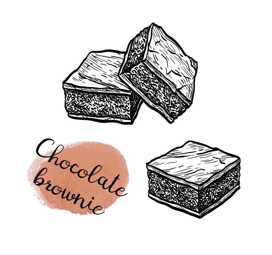 chocola brownie. inkt schetsen geïsoleerd Aan wit achtergrond. hand- getrokken vector illustratie. retro stijl.