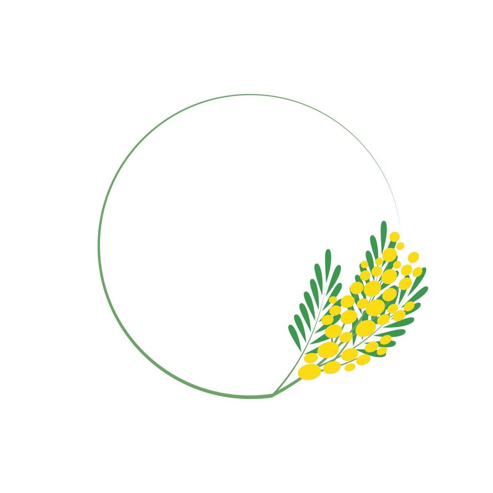 minimalistische ronde kader met een mimosa. een kader met botanisch motieven. vector illustratie