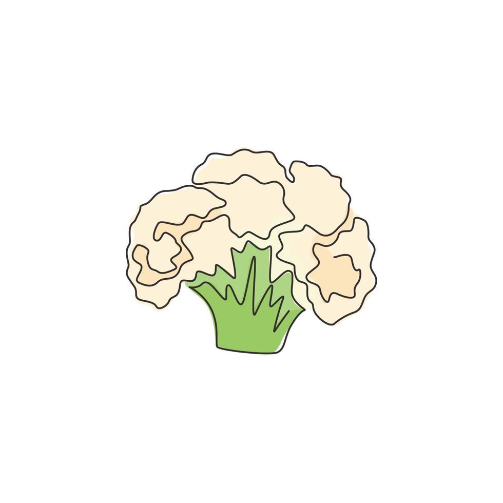 één enkele lijntekening van hele gezonde biologische bloemkool voor de identiteit van het boerderijlogo. vers brassica oleracea concept voor groente icoon. moderne doorlopende lijn tekenen ontwerp vector grafische afbeelding