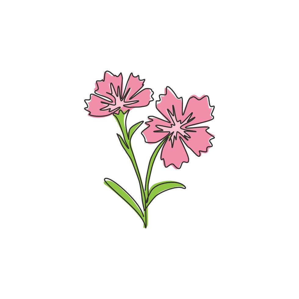 enkele een lijntekening van schoonheid verse dianthus voor thuis muur decor art poster print. decoratief anjerbloemconcept voor groen parkpictogram. moderne doorlopende lijn tekenen ontwerp vectorillustratie vector