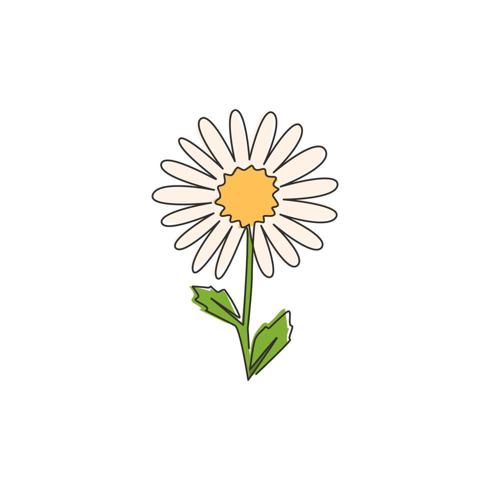 een doorlopende lijntekening van schoonheid verse bellis perennis voor muur decor art poster. bedrukbaar decoratief madeliefjebloemconcept voor stoffentextiel. moderne enkele lijn tekenen ontwerp vectorillustratie vector