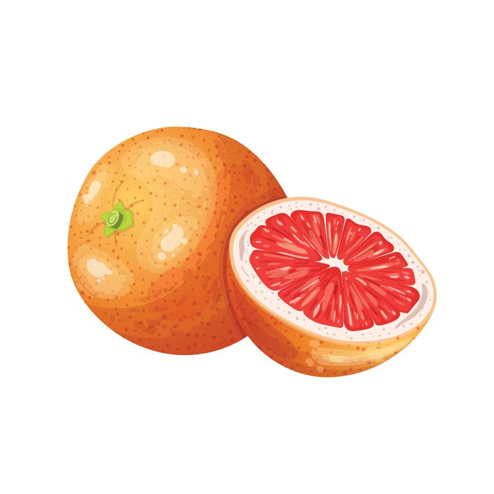 grapefruit fruit besnoeiing tekenfilm vector illustratie