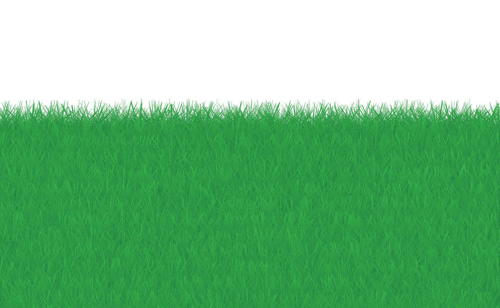 groen gras grens Aan geïsoleerd wit achtergrond vector illustratie