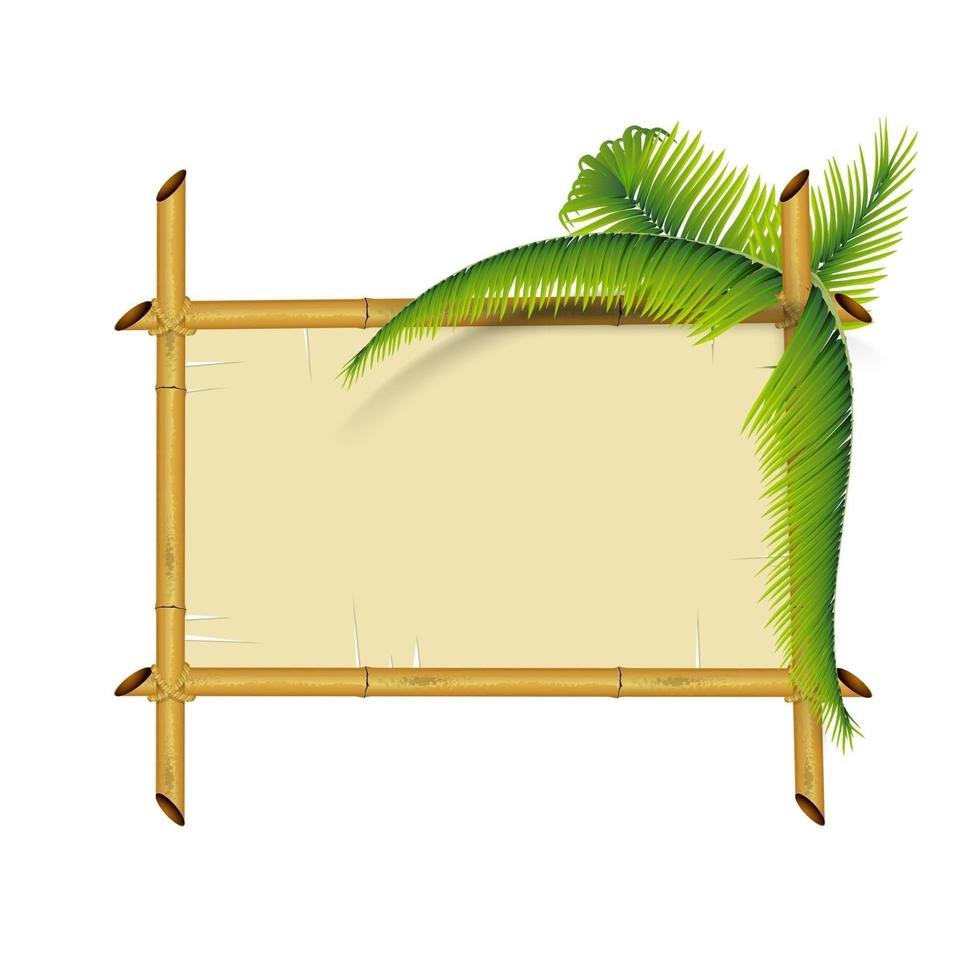 bamboe plaat geïsoleerd op een witte achtergrond voor uw creativiteit vector