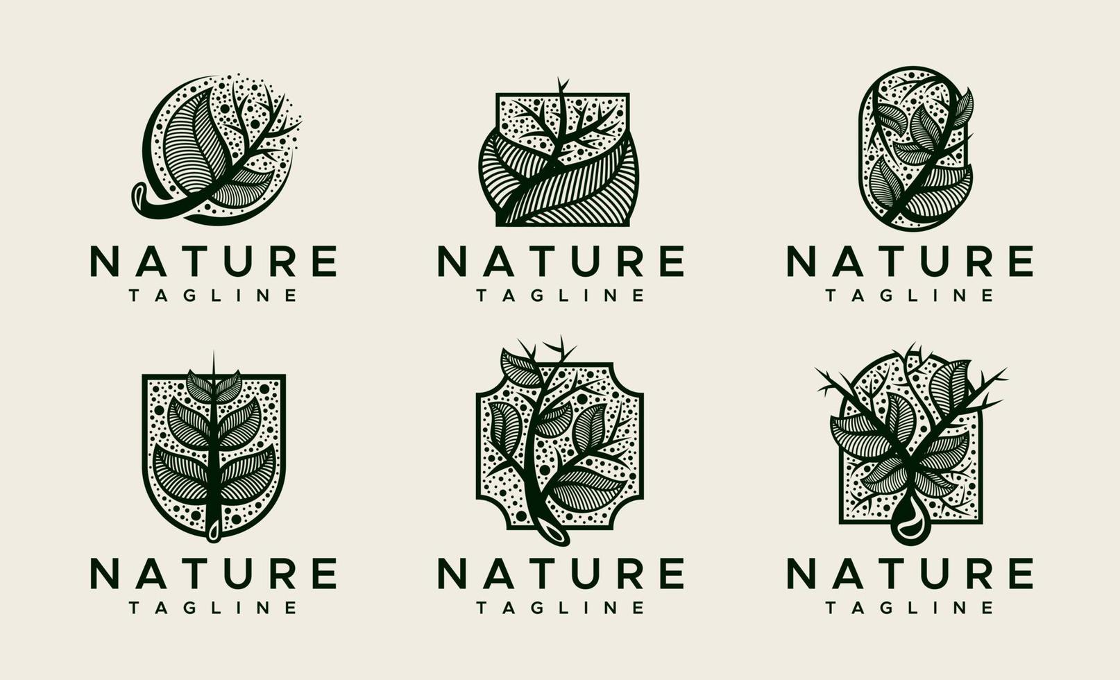 decoratief natuur blad logo ontwerp sjabloon set. luxe bloemen logo grafisch sjabloon. vector