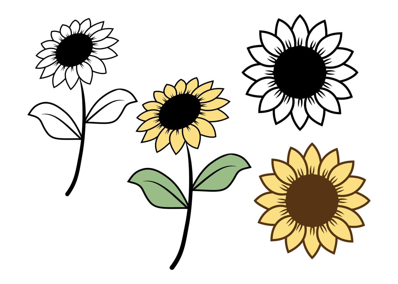 zonnebloemen hand- getrokken geïsoleerd Aan een wit achtergrond. vector illustratie minimalistische stijl