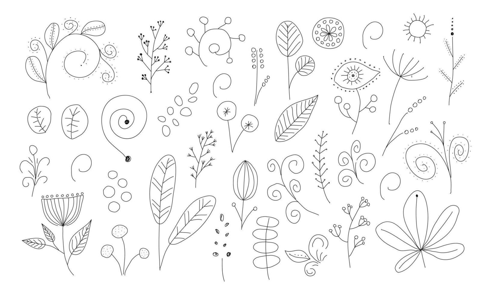 magie botanisch verzameling. takken, bloemen en bladeren, handgetekend vector illustratie