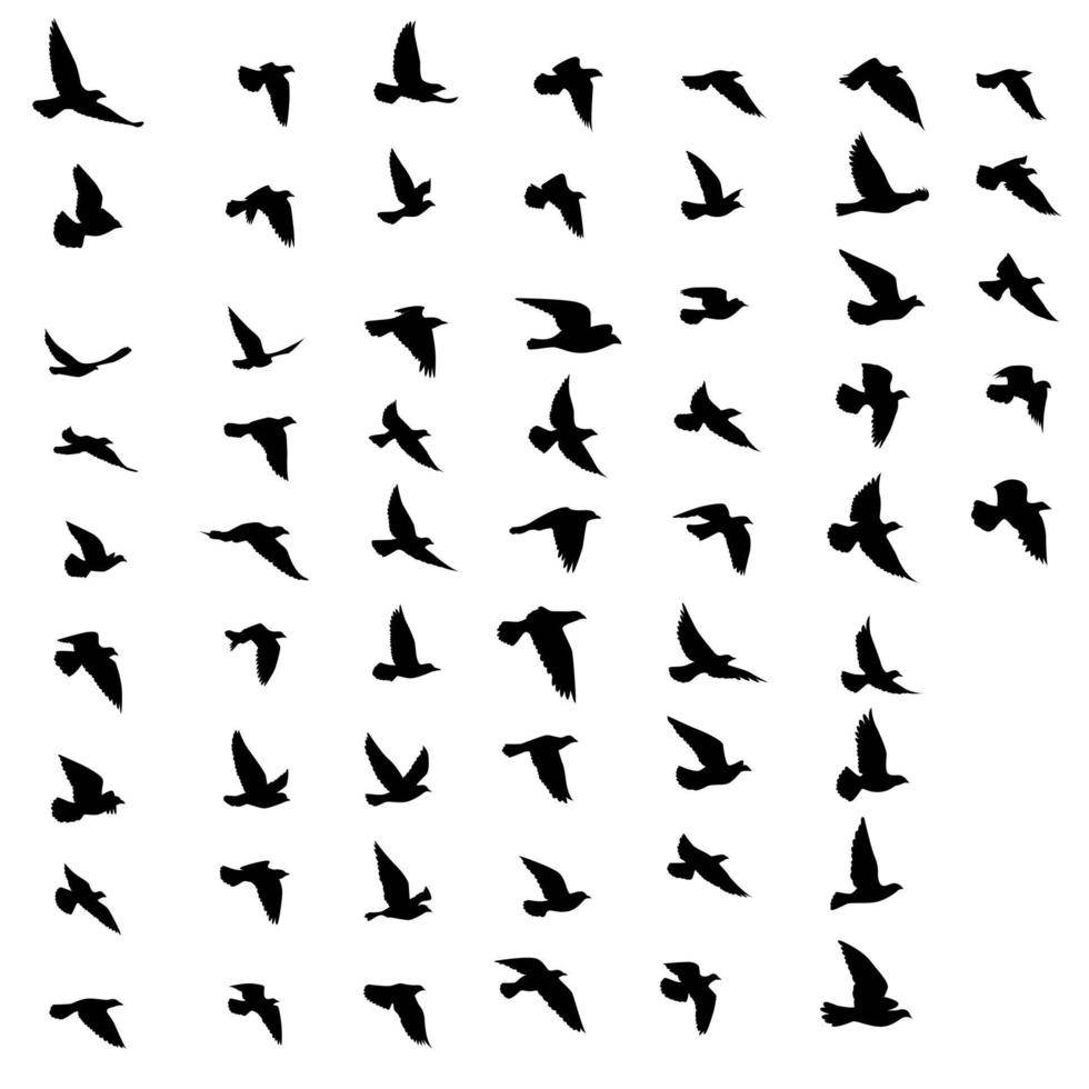 vliegende vogels silhouetten patroon behang. vector illustratie. geïsoleerde vogel vliegen. tattoo ontwerp. sjabloon voor kaart, pakket en behang.