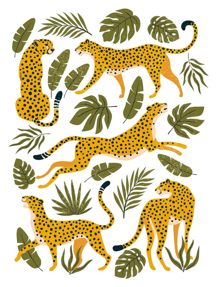 vector set luipaarden of cheeta's en tropische bladeren. trendy illustratie.