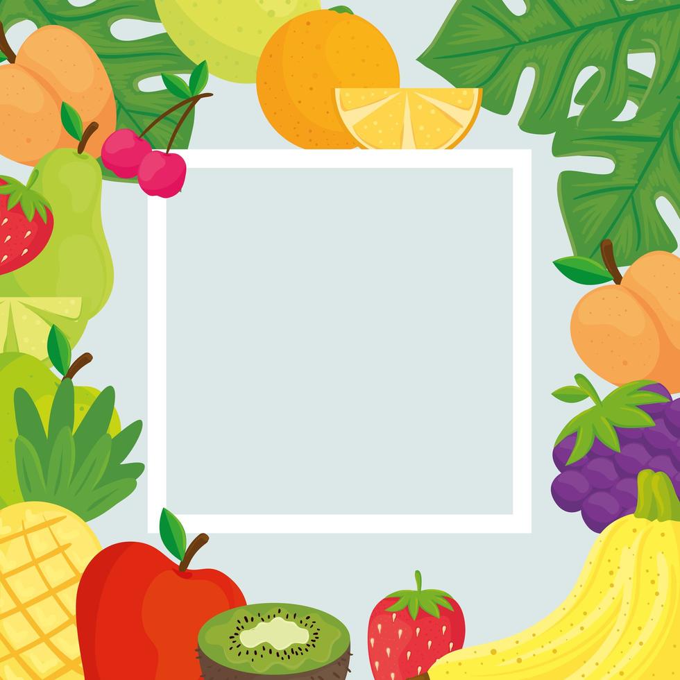 vierkant frame met tropisch vers fruit vector