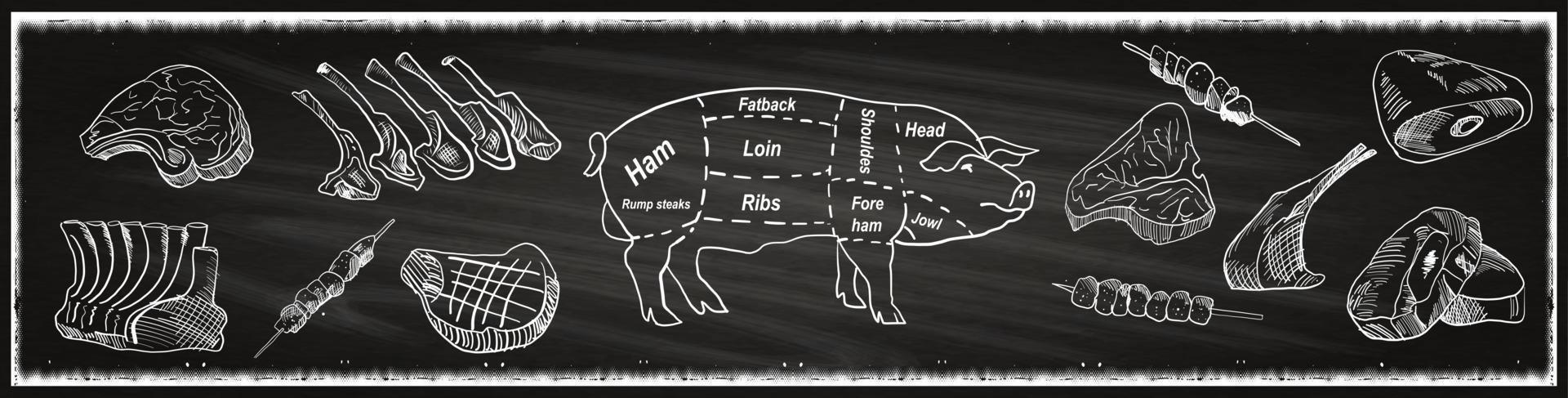 slagerij schoolbord gesneden van rundvlees. vector