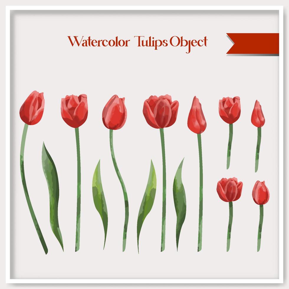vector waterverf tulpen voorwerp verzameling