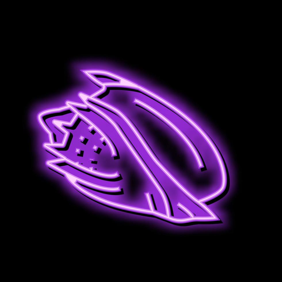 volute zee schelp strand neon gloed icoon illustratie vector