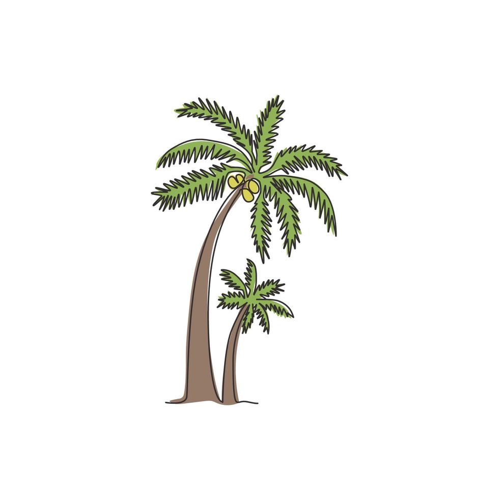 enkele lijntekening van kokospalm. decoratieve cocos nucifera, strand palmboom familie concept voor groet hallo zomer postkaart. moderne doorlopende lijn tekenen ontwerp vector grafische afbeelding