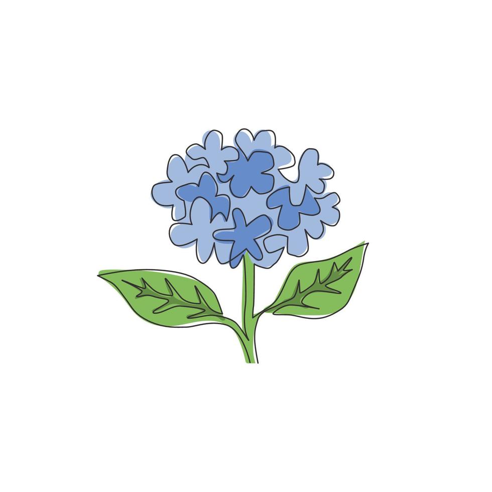 enkele lijntekening van schoonheidsverse hortensia voor tuinlogo. decoratieve hortensia bloem concept voor muur decor home art poster print. moderne doorlopende lijn tekenen ontwerp vectorillustratie vector