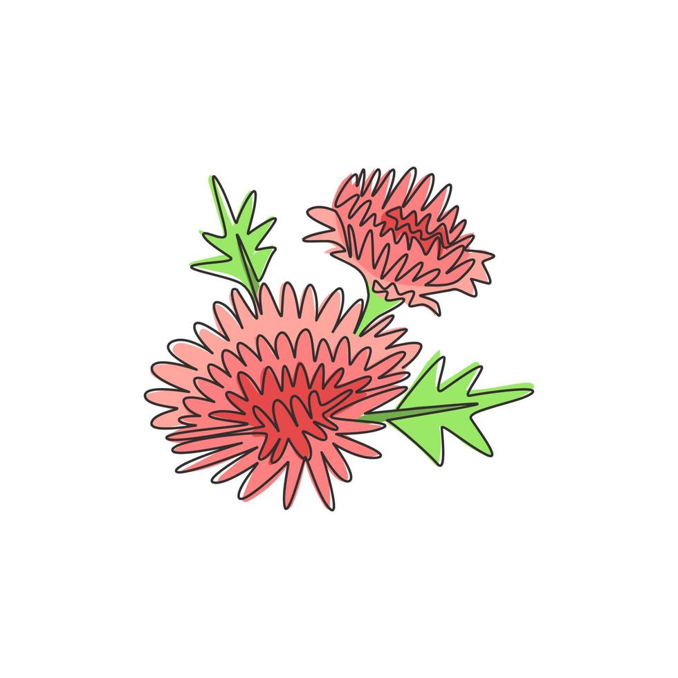 één enkele lijntekening van schoonheidsverse chrysanthemum voor tuinlogo. afdrukbare decoratieve chrysant bloem concept voor wenskaart ornament. moderne doorlopende lijn tekenen ontwerp vectorillustratie vector