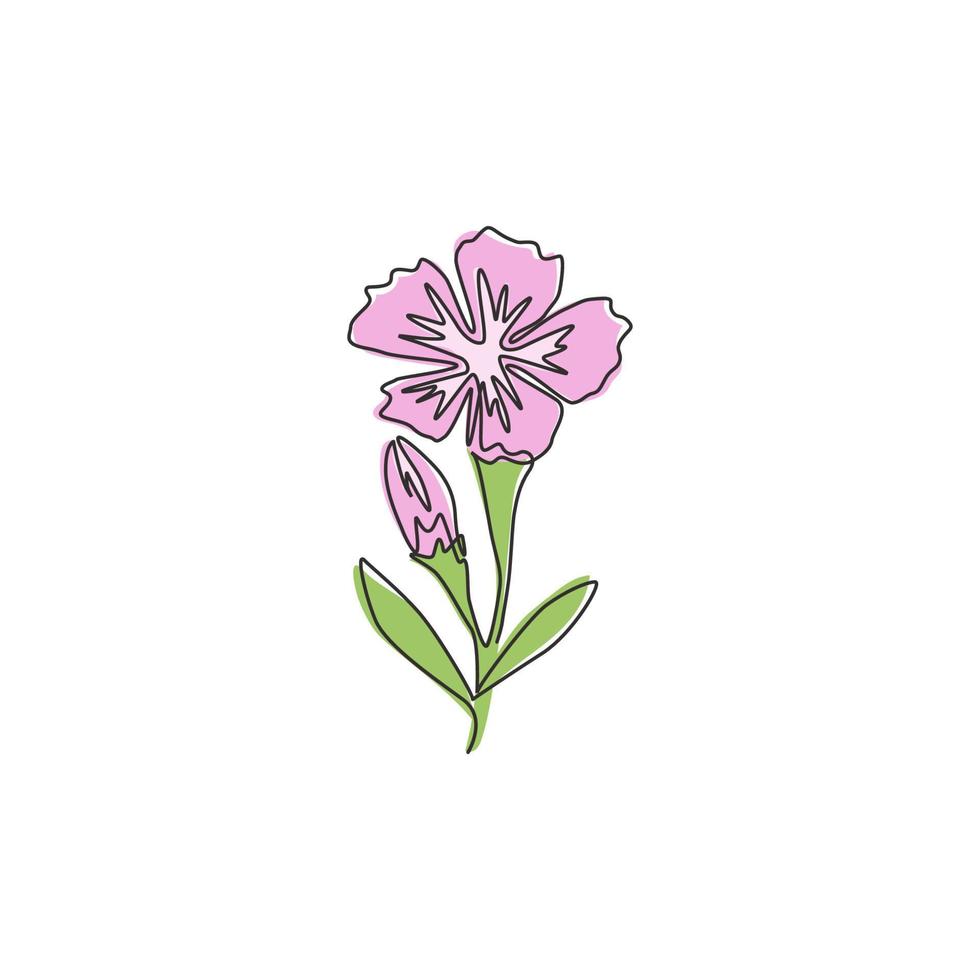 enkele doorlopende lijntekening van schoonheid verse dianthus voor thuis kunst muur decor poster print. afdrukbaar decoratief zoete william bloem concept voor. trendy één lijn tekenen ontwerp vectorillustratie vector