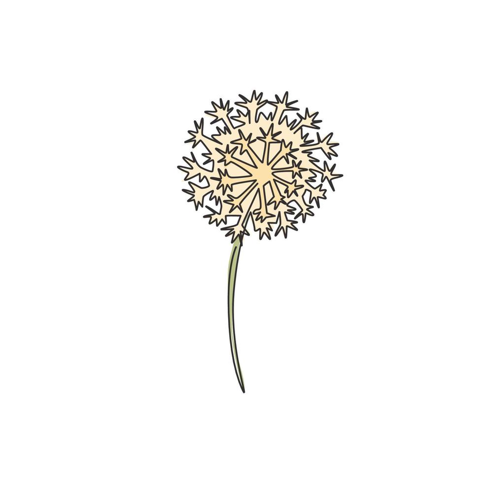 enkele doorlopende lijntekening schoonheid verse taraxacum voor thuis muur decor art poster print. afdrukbare decoratieve paardebloembloem voor uitnodigingskaart. moderne één lijn tekenen ontwerp vectorillustratie vector