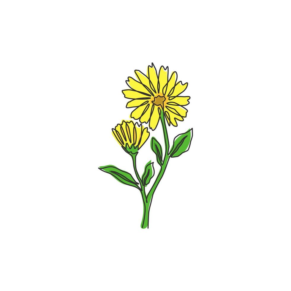 een doorlopende lijntekening van schoonheidsverse calendula voor tuinlogo. afdrukbare decoratieve goudsbloem bloem concept voor thuis muur decor poster art. moderne enkele lijn tekenen ontwerp vectorillustratie vector