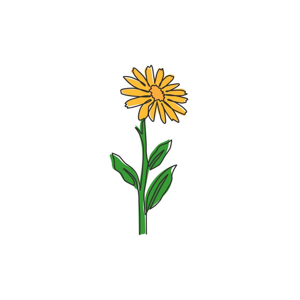 een enkele lijntekening van schoonheidsverse calendula voor thuismuurdecorposter. afdrukbare decoratieve goudsbloembloem voor wenskaartornament. moderne doorlopende lijn tekenen ontwerp vectorillustratie vector