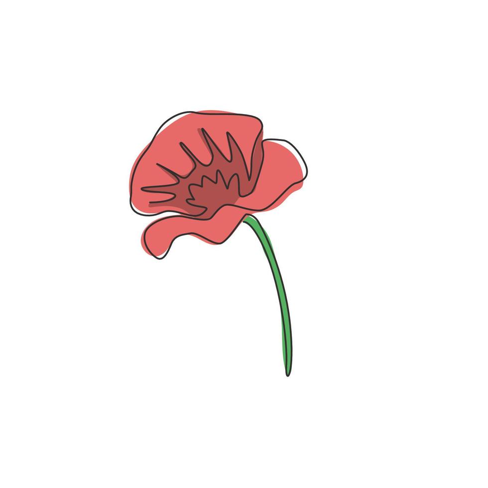 enkele doorlopende lijntekening van schoonheid verse bloeiende plant voor poster muur decor home art. afdrukbare decoratieve poppy bloem voor bruiloft uitnodigingskaart. één lijn tekenen ontwerp vectorillustratie vector