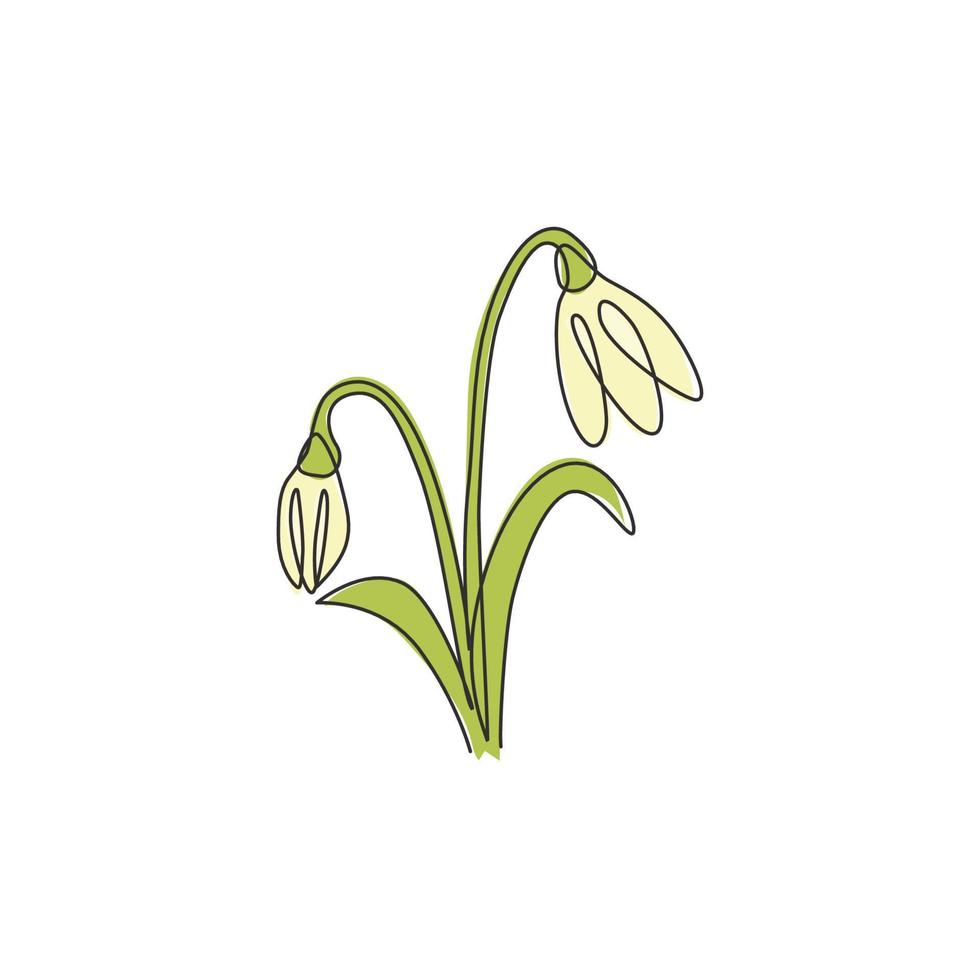 enkele doorlopende lijntekening schoonheid verse galanthus van tuin logo. afdrukbare decoratieve sneeuwklokje bloem concept voor home decor kunst aan de muur poster print. moderne één lijn tekenen ontwerp vectorillustratie vector