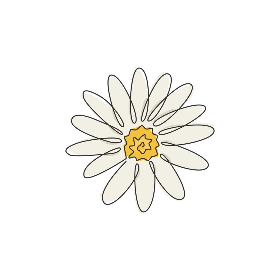 een doorlopende lijntekening van schoonheidsverse bellis perennis. afdrukbare decoratieve poster gemeenschappelijk madeliefje bloem concept voor muur home decor. moderne enkele lijn tekenen ontwerp vector grafische afbeelding